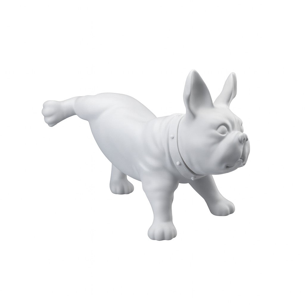 Fransk bulldog, Luis - Hvid. Hundemannequin