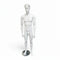 Men's mannequin with face - standard - sculpted hair! - White