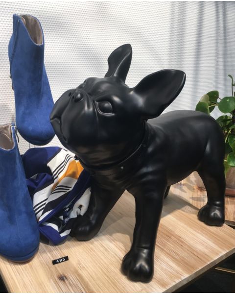 Fransk bulldog, Liva. Hundemannequin i sort