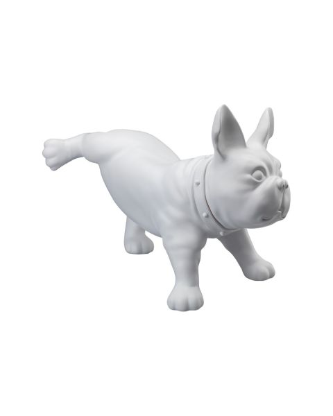 Fransk bulldog, Luis - Hvid. Hundemannequin