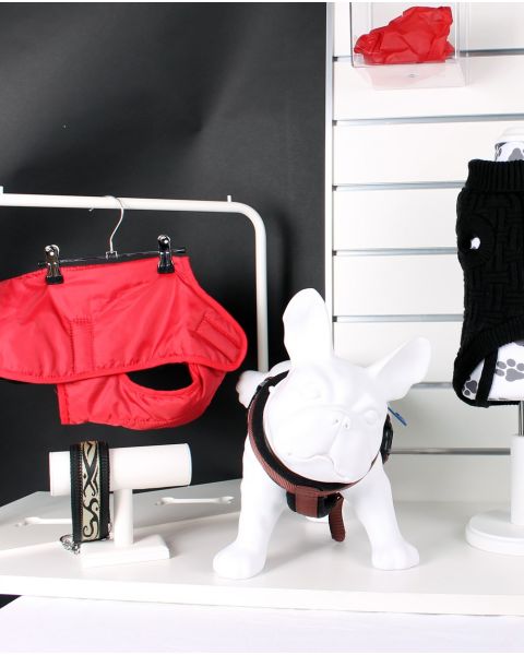 Fransk bulldog, Luis - Hvid. Hundemannequin
