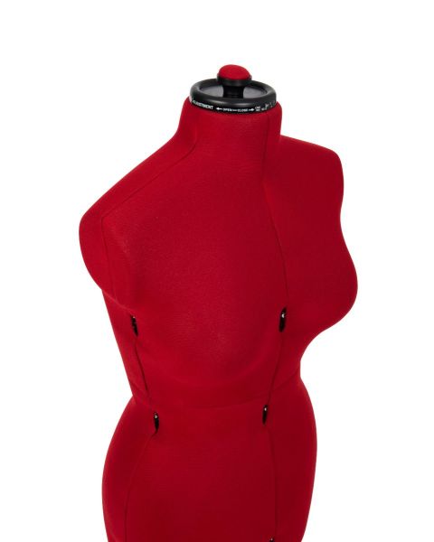 Skræddergine, dame. Rød, medium.